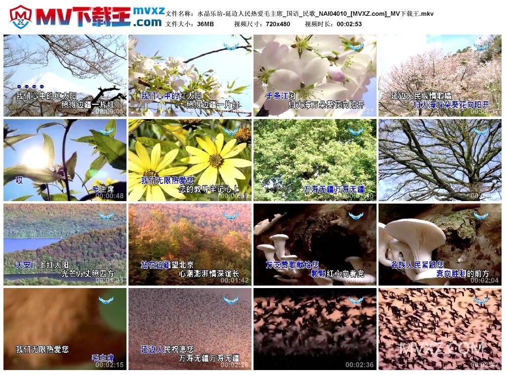 水晶乐坊-延边人民热爱毛主席_国语_民歌_NAI04010
